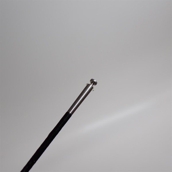 １７ボーダレスＰ８１０－Ｔ